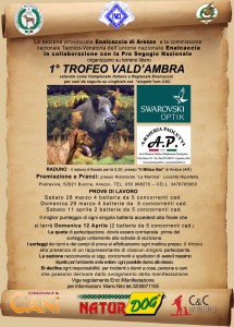 VALDAMBRA 19 MARZO