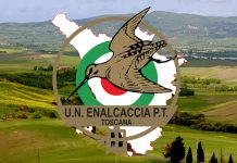 Enalcaccia Toscana