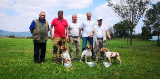 Trofeo Del Granducato, L’eccellenza Cinofila Toscana