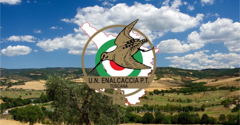 Toscana zona arancione; regole degli spostamenti relativi all’attività venatoria ed all’attività di addestramento cani; apertura di aree per l’allenamento e l’addestramento dei cani ENALCACCIA in provincia di Arezzo Toscana zona arancione; regole degli spostamenti relativi all’attività venatoria ed all’attività di addestramento cani; apertura di aree per l’allenamento e l’addestramento dei cani ENALCACCIA in provincia di Arezzo
